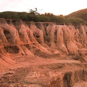 La erosión se produce por falta de vegetación en el suelo