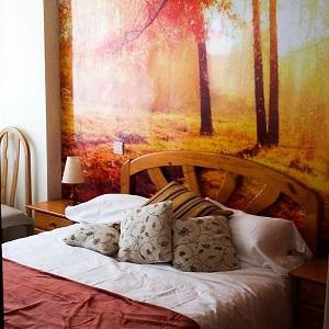 Decorar con fotomurales